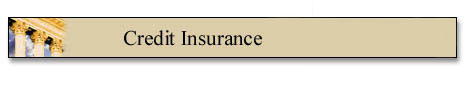 Credit Insurance