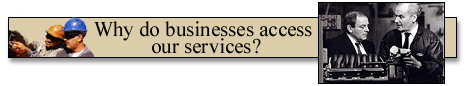 Why do businesses access our services?